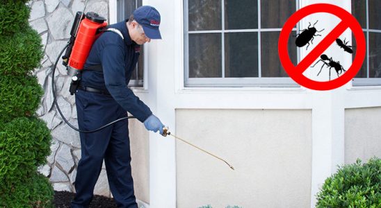 Gümüşhane Böcek İlaçlama böcek ilaçlama ve haşere kontrolü — ilaclama-tr.com
